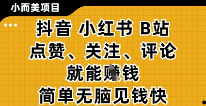 小而美的项目，抖音小红书B站视频点赞、关注、评论就能挣钱，简单无脑立见收益，妥妥的零撸项目【揭秘】-数智网创