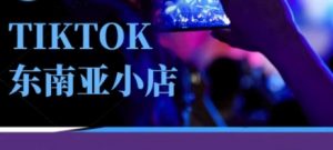Tiktok东南亚跨境小店运营班，一门专业的TK小店运营培训课-数智网创