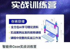 智能体Coze实战训练营，掌握新时代效率工具，让你人生即刻开挂-数智网创