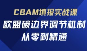 CBAM填报实战课，欧盟碳边界调节机制，从零到精通-数智网创