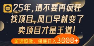 什么?25年你还在疯狂找项目做,醒醒吧,看完这些你全都懂了【揭秘】-数智网创