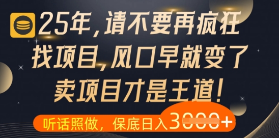 什么?25年你还在疯狂找项目做,醒醒吧,看完这些你全都懂了【揭秘】-数智网创