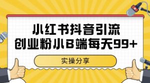 小红书抖音创业粉，小B端粉自热，日引99+的一个玩法【揭秘】-数智网创