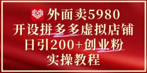 外面卖5980开设拼多多虚拟店铺:单日引流200+创业付费粉实战教程-数智网创