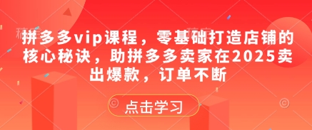 拼多多vip课程，零基础打造店铺的核心秘诀，助拼多多卖家在2025卖出爆款，订单不断-数智网创