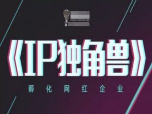 IP独角兽,孵化网红企业,ip教程-数智网创