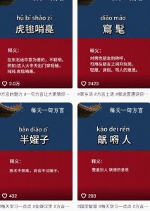 抖音最新涨粉玩法，图文方言暴力涨粉实操，126作品涨粉11W-数智网创