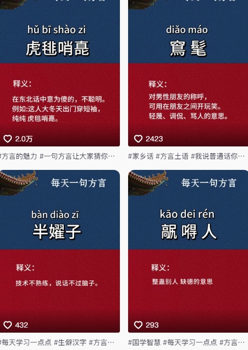 抖音最新涨粉玩法，图文方言暴力涨粉实操，126作品涨粉11W-数智网创