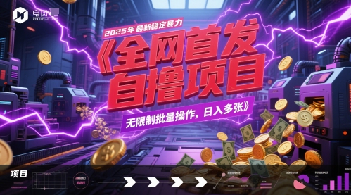 全网首发，2025年最新稳定暴力全自动自撸项目，无限制批量操作，日入多张【揭秘】-数智网创