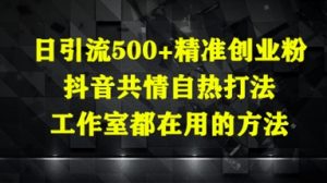 日引流500+精准创业粉,抖音共情自热打法,工作室都在用的方法-数智网创