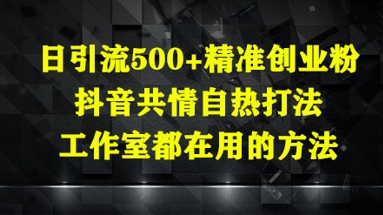 日引流500+精准创业粉,抖音共情自热打法,工作室都在用的方法-数智网创
