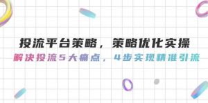 投流平台策略,策略优化实操,解决投流5大痛点,4步实现精准引流-数智网创