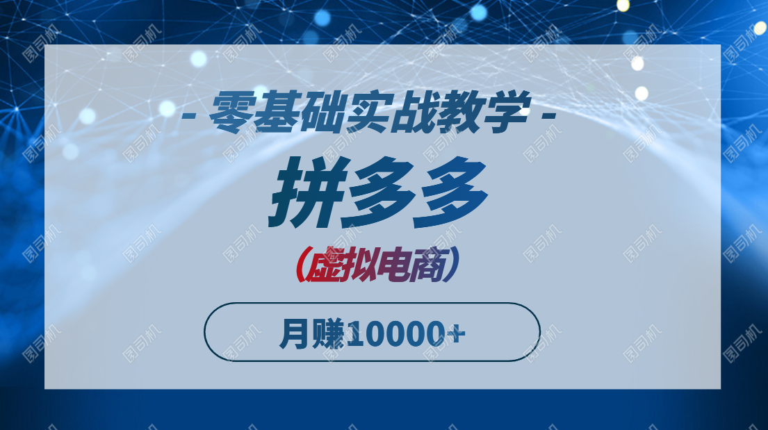 拼多多虚拟电商，零基础实战教学，快速打爆商品，新手也能月入10000+-数智网创