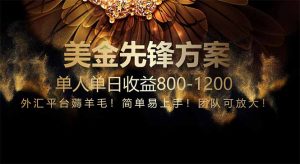 免费技术！小众赛道！一年布局抵三年努力，每日800+-数智网创