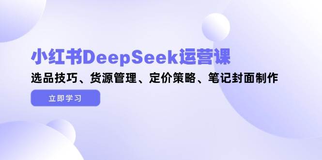 小红书DeepSeek运营课，选品技巧、货源管理、定价策略、笔记封面制作-数智网创