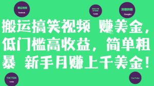 搬运搞笑视频挣美金,低门槛高收益,简单粗暴新手月入上千美刀-数智网创