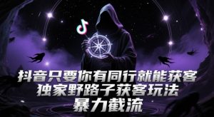 抖音只要你有同行就能获客,独家野路子获客玩法,暴力截流【揭秘】-数智网创