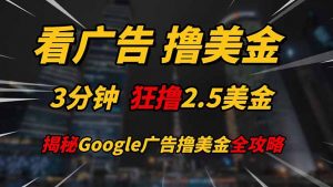 看广告,撸美金!!3分钟赚2.5美金!!日入200美金不是梦!揭秘Google...-数智网创