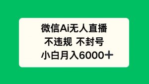 微信AI无人直播，不违规 不封号 ，小白月入6000+-数智网创
