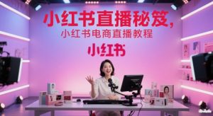 小红书直播秘笈，小红书电商直播教程-数智网创