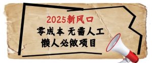 2025新风口，懒人必做项目，浏览器全自动掘金【揭秘】-数智网创