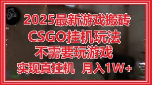2025最新游戏搬砖，CSGO挂机，不需要玩游戏，实现真挂机，月入1W+-数智网创