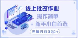 线上批改作业，操作简单新手小白首选，无脑日收300+【揭秘】-数智网创