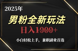 2025年男粉全新玩法，小白轻松上手，兼职副业首选，轻轻松松日入1k+-数智网创