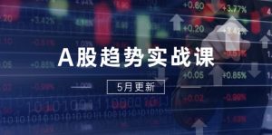 A股趋势实战课:主力动向+政策红利,2025全年策略5月更新-数智网创