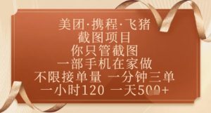 飞猪美团截图项目，你只管截图，一部手机在家做，正规平台无套路，一天5张+【揭秘】-数智网创