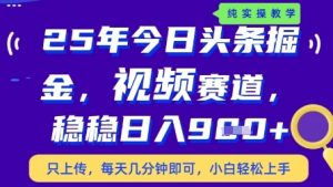 今日头条视频赛道最新玩法，每天十分钟，保底日入9张+【揭秘】-数智网创