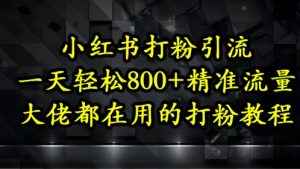 小红书打粉引流，一天轻松500+精准流量，大佬都在用的打粉教程-数智网创