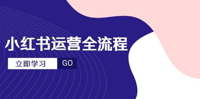 小红书运营全流程，爆款选题文案，视频制作技巧，进阶达人宝典-数智网创