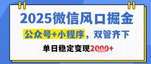 2025微信风口掘金,公众号+小程序双管齐下,单日稳定变现1k+【揭秘】-数智网创