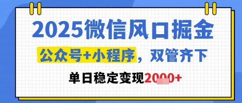 2025微信风口掘金,公众号+小程序双管齐下,单日稳定变现1k+【揭秘】-数智网创