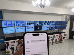 2025年实操六大项目实操演练，挂机类型，AI直播类型，轻资产创业类型，...-数智网创