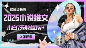 2025小说推文最新玩法，推文保姆级教程，小白7天收益1w+-数智网创