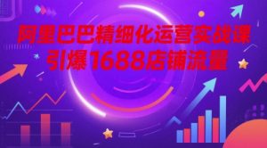 阿里巴巴精细化运营实战课,引爆1688店铺流量-数智网创
