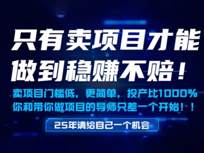 只有卖项目才能做到稳挣不赔，门槛低，更简单，你也可以年入百个W【揭秘】-数智网创