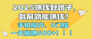 2025赚钱野路子,截屏就能赚钱?手机操作0门槛,一天躺赚600+!!!-数智网创