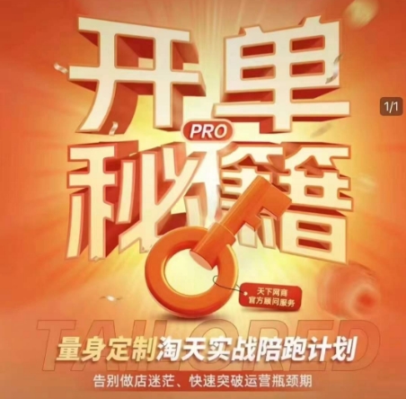 淘宝开单秘籍PRO，量身定制淘天实战陪跑计划，告别做店迷茫、快速突破运营瓶颈期(更新)-数智网创