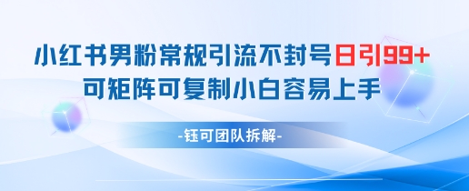 小红书男粉常规引流不封号日引99+变现简单 可矩阵可复制小白容易上手-数智网创