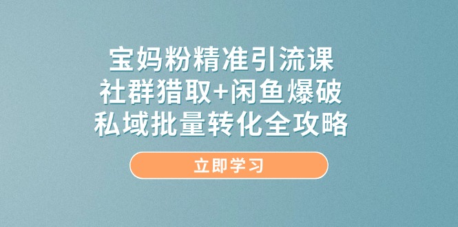 宝妈粉精准引流课,社群猎取+闲鱼爆破,私域批量转化全攻略-数智网创