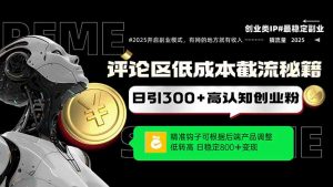 评论区低成本引流秘籍,精准钩子直击用户,单账号日增300+创业粉,日稳...-数智网创