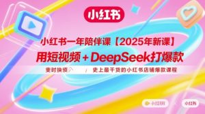 小红书一年陪伴课【2025年新课】，用短视频+deepSeek打爆款，史上最干货的小红书店铺爆款课程-数智网创