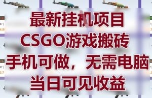 最新挂G项目，CSGO游戏搬砖，手机可做，无需电脑，当日见收益【揭秘】-数智网创