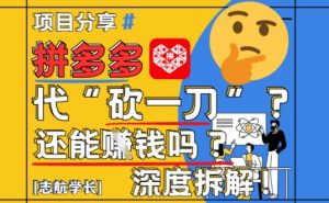 【2025最新】拼多多代坎助力项目深度拆解：还能挣钱吗?全流程玩法-数智网创