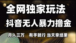 全网独家玩法抖音无人暴力撸金,月入3W,有手就行,当天拿结果【揭秘】-数智网创