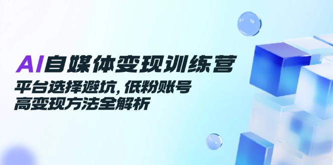 AI自媒体变现训练营，平台选择避坑，低粉账号高变现方法全解析-数智网创