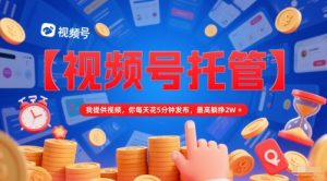 【视频号托管 】我提供视频,你每天花5分钟发布,最高躺挣2W+【揭秘】-数智网创